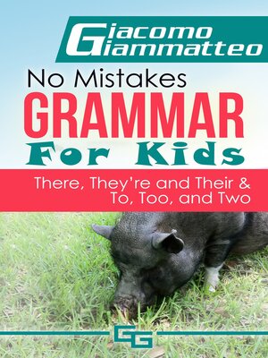 cover image of No Mistakes Grammar for Kids, Volume V, "There, They're, Their," and "To, Too, and Two"